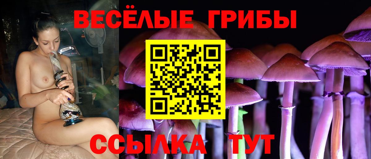 Галлюциногенные грибы ЛСД Тамбов